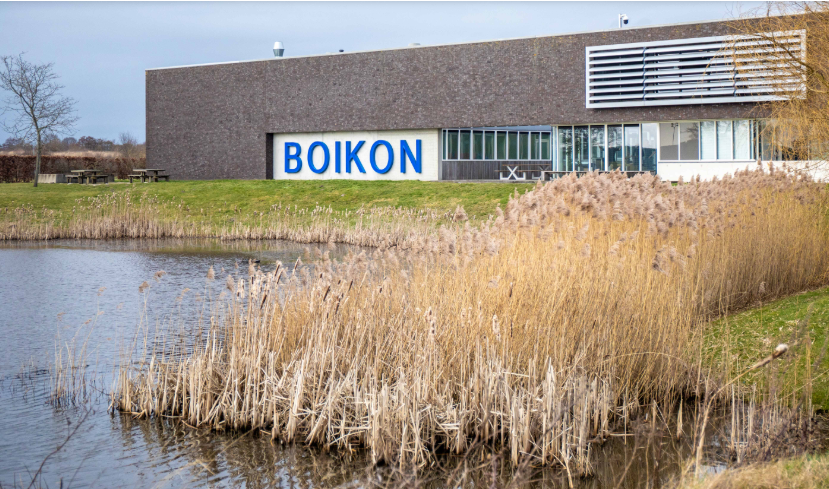 Boikon Leek